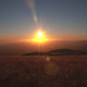 Illustration for article titled Shooting Challenge Sunset Gallery 2